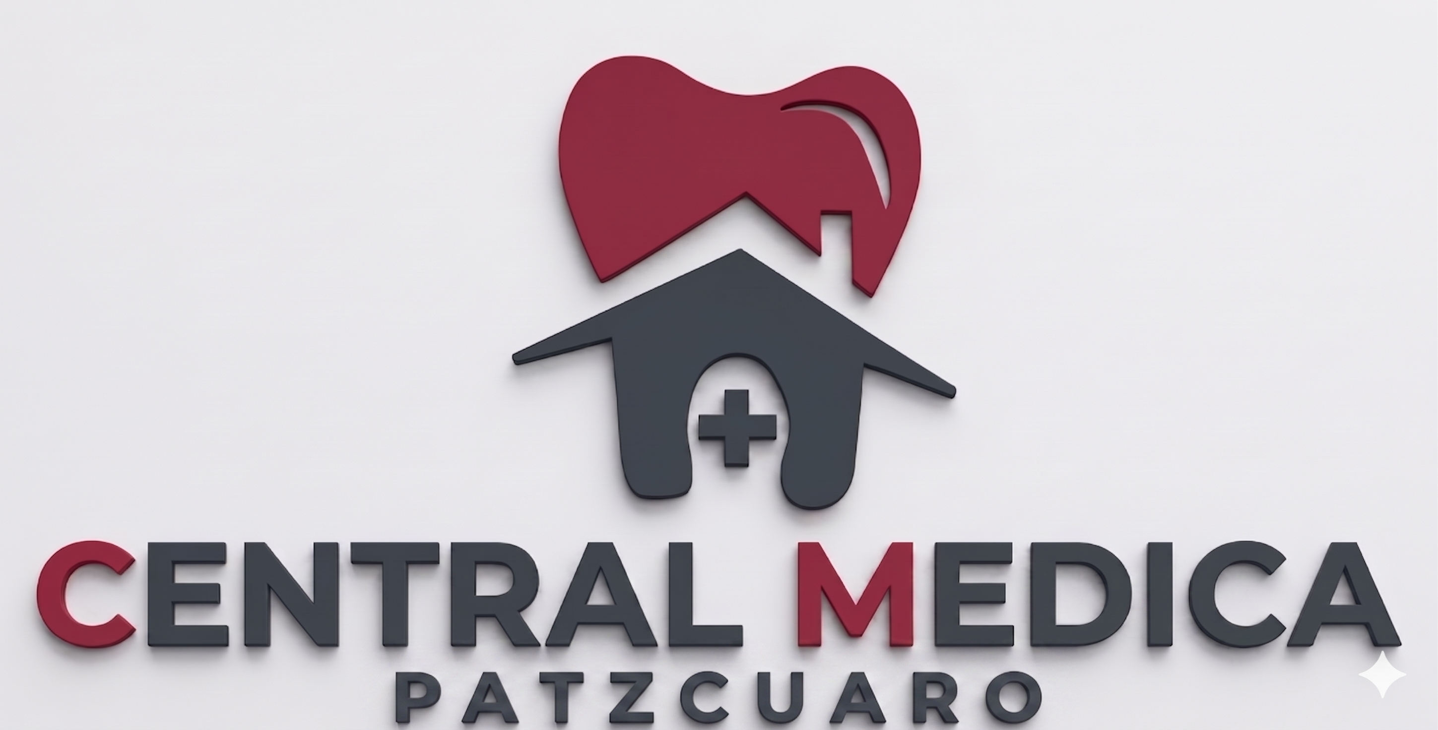 Logo Central Médica